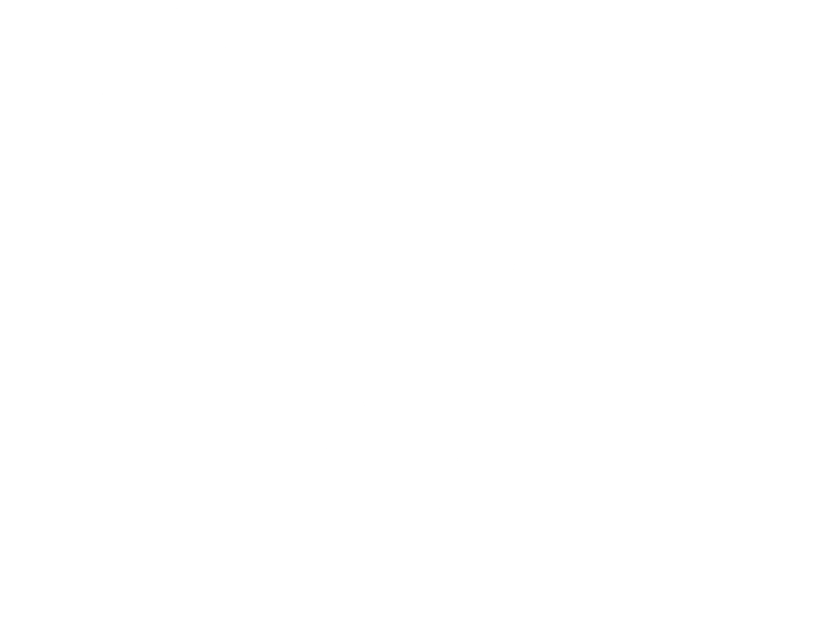 Vogelfrei Solutions Logo