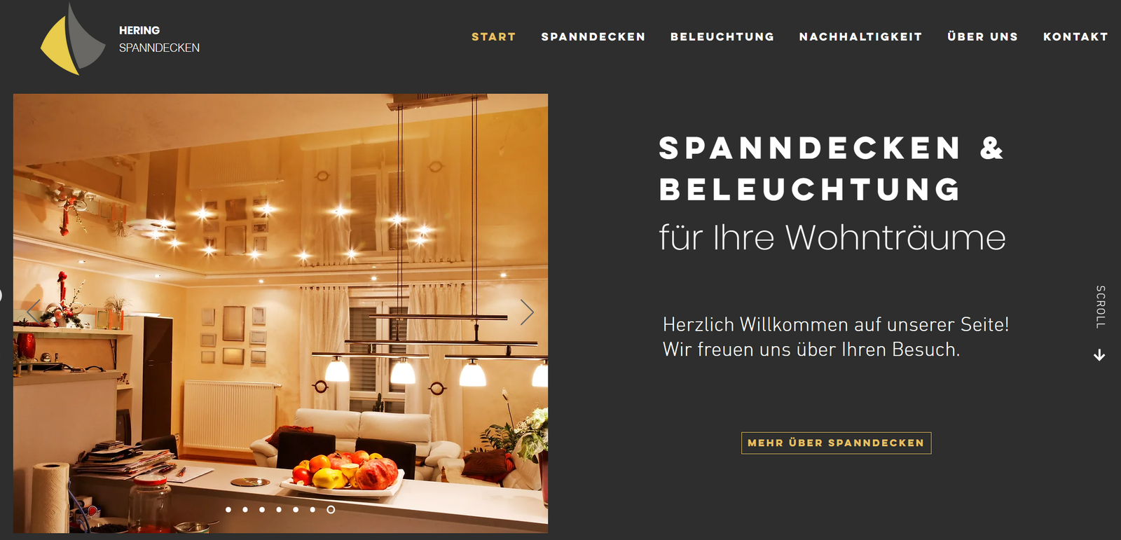 Website Hering Spanndecken – Spanndecken und Beleuchtung